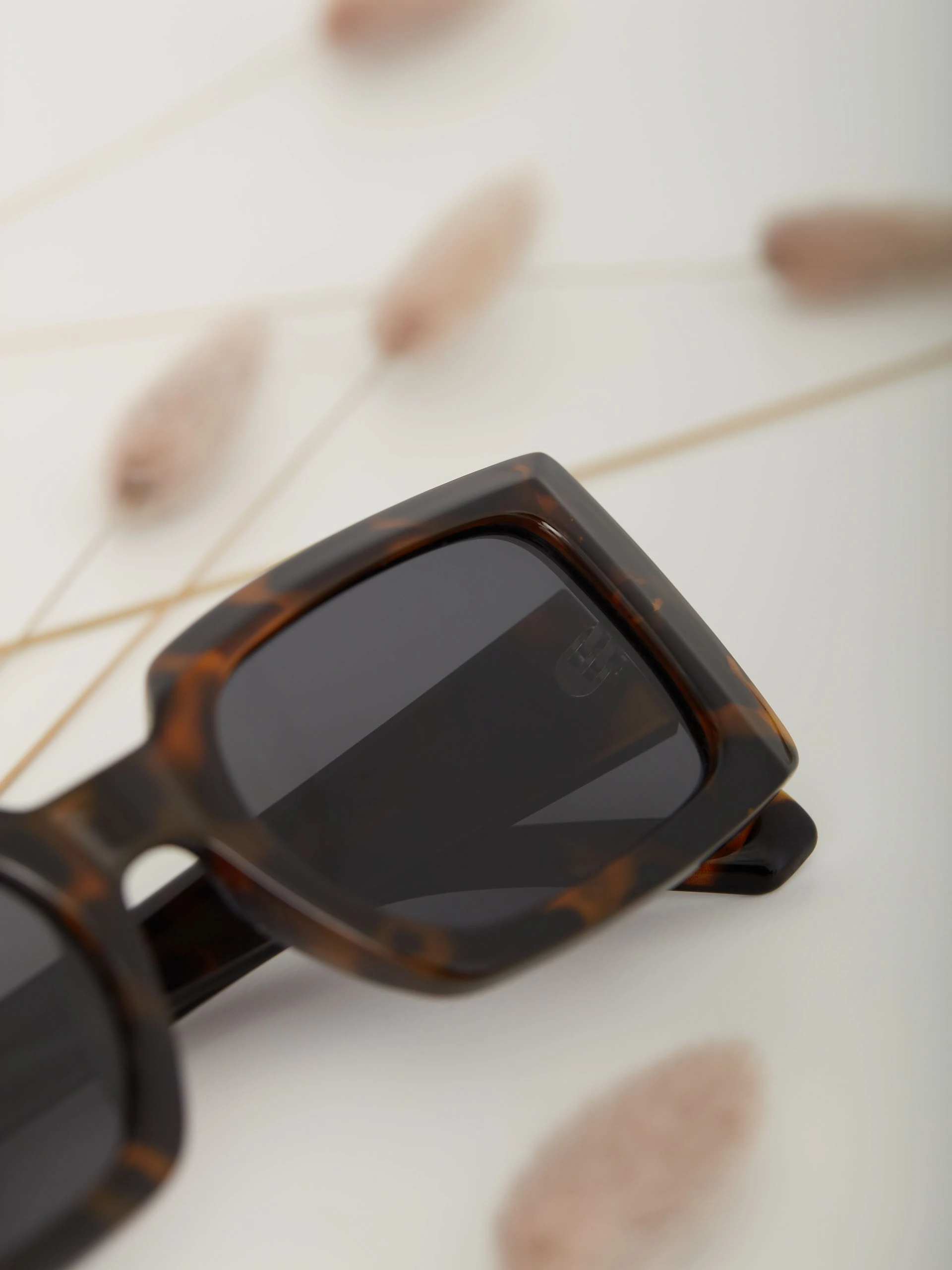 BROWN GLASSES