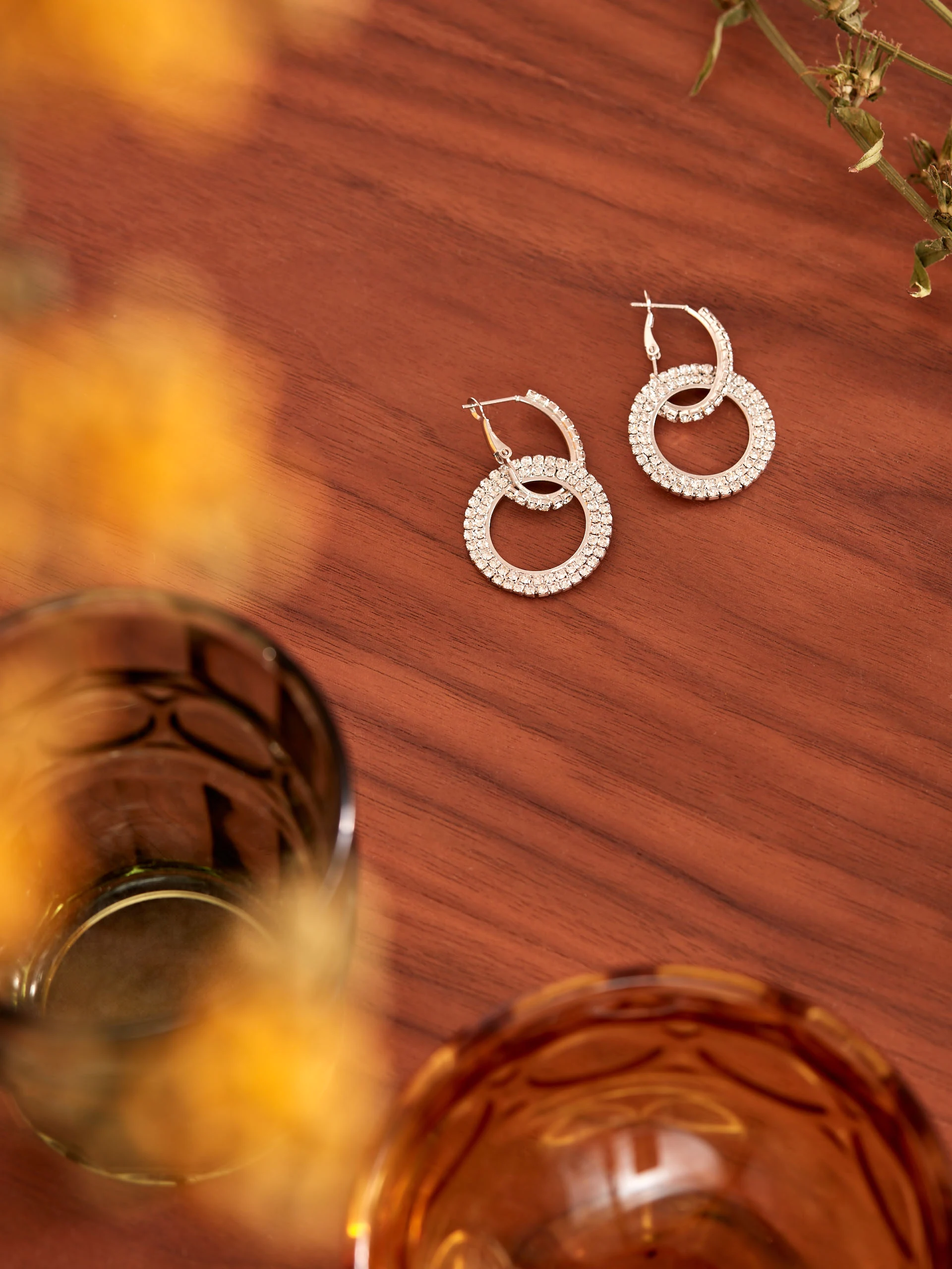 ELEGANT EARRINGS DECORATED WITH STONES