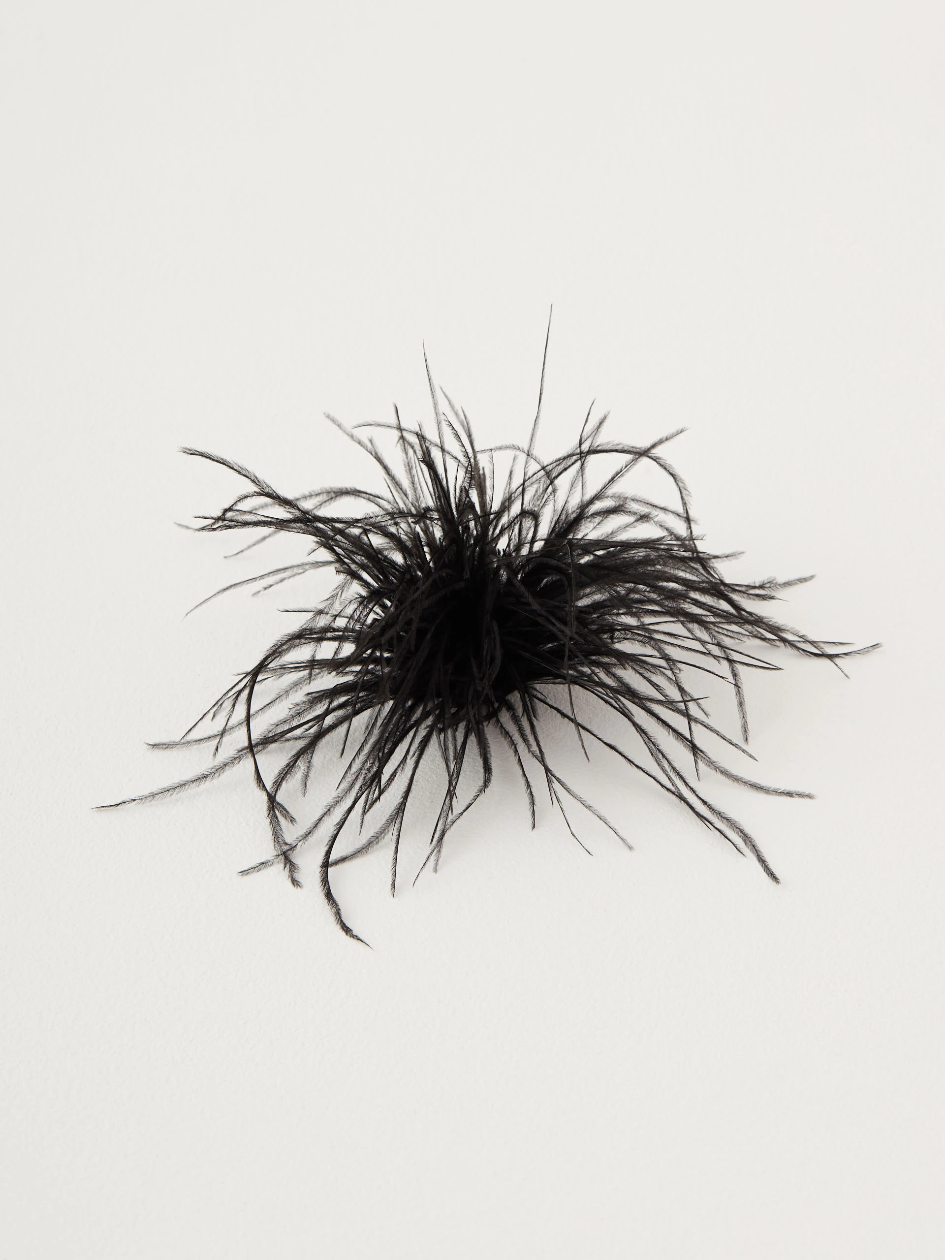 Black feather brooch