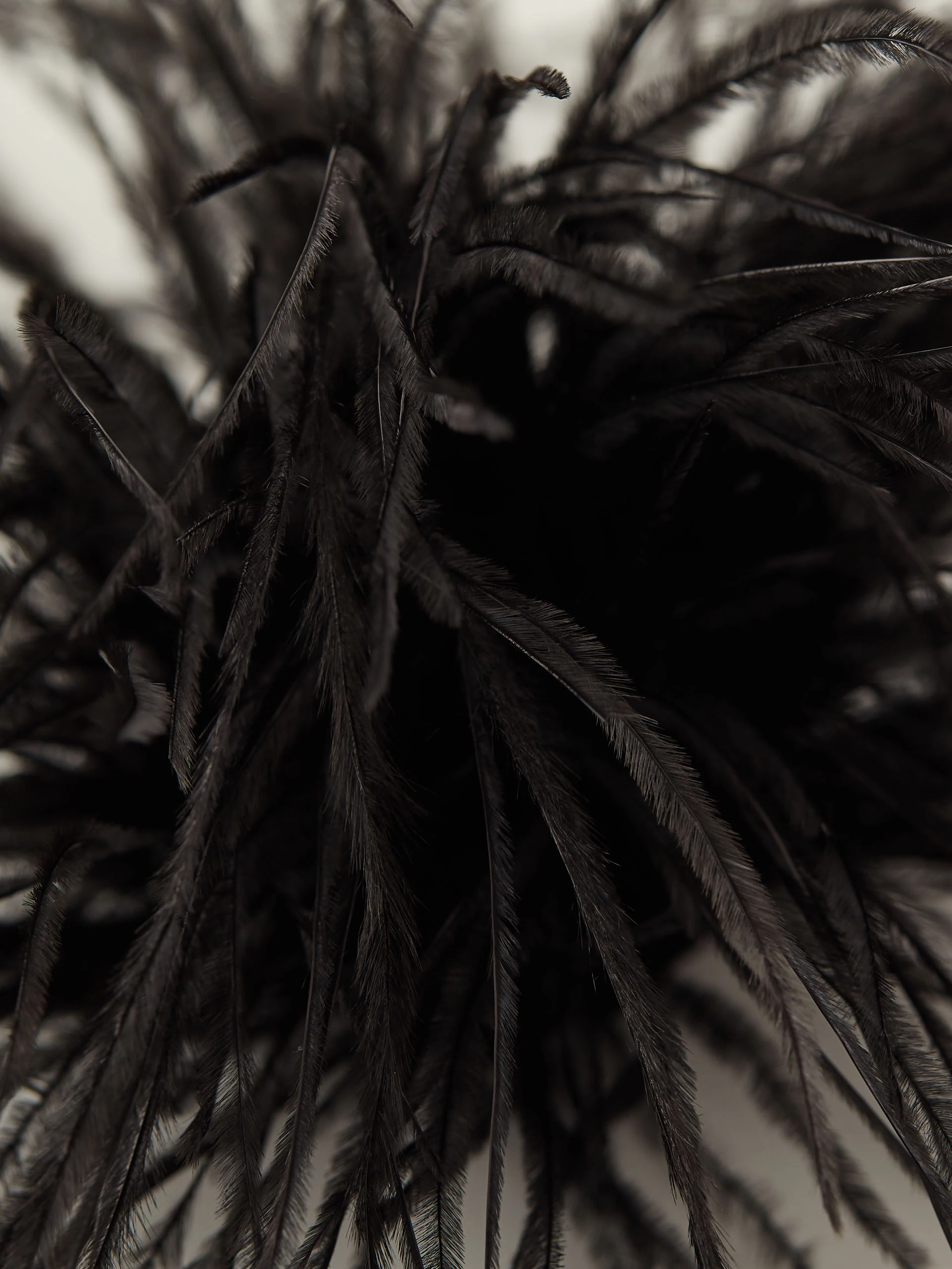 Black feather brooch