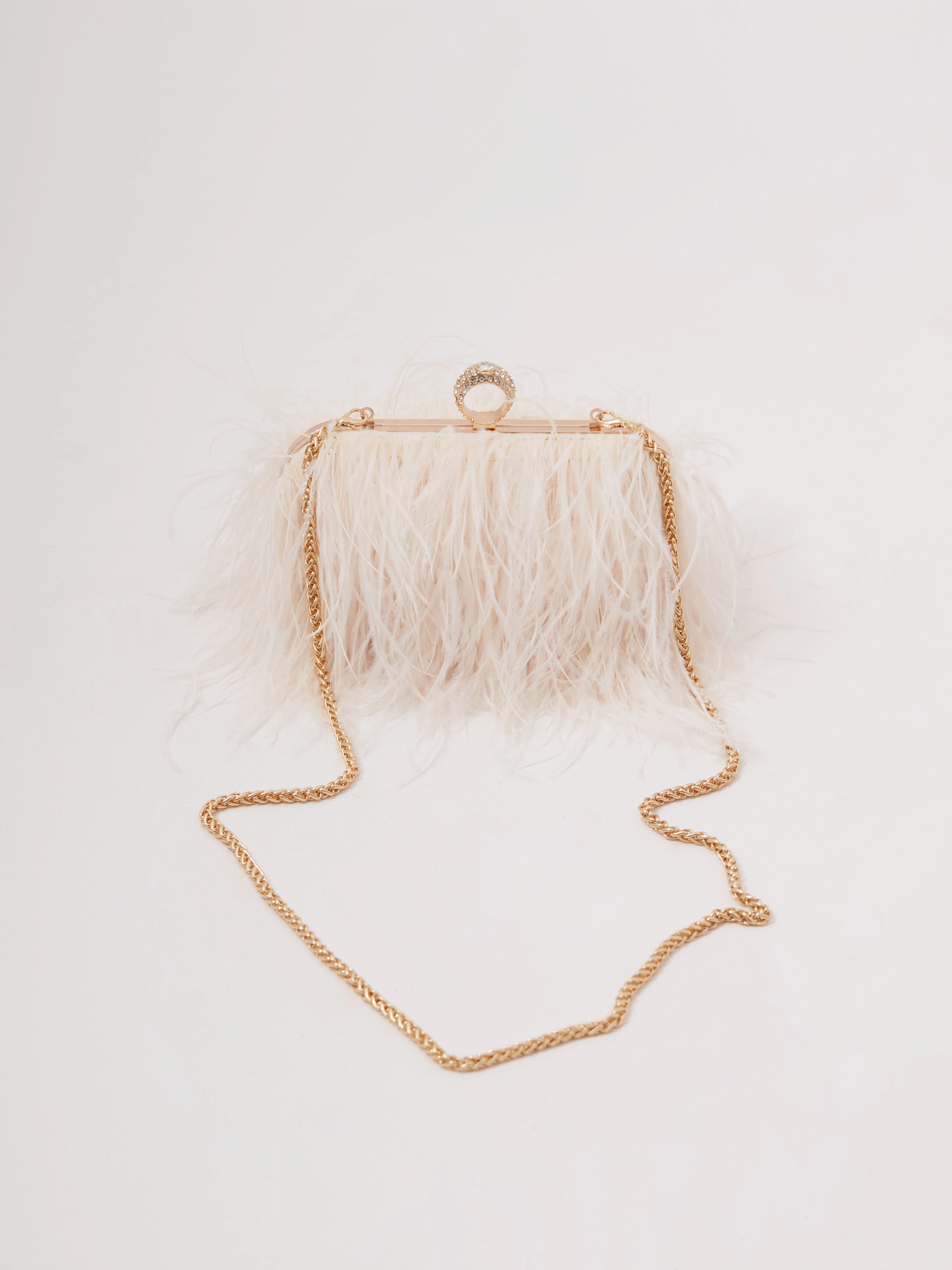 A small cream-colored handbag embroidered with feathers