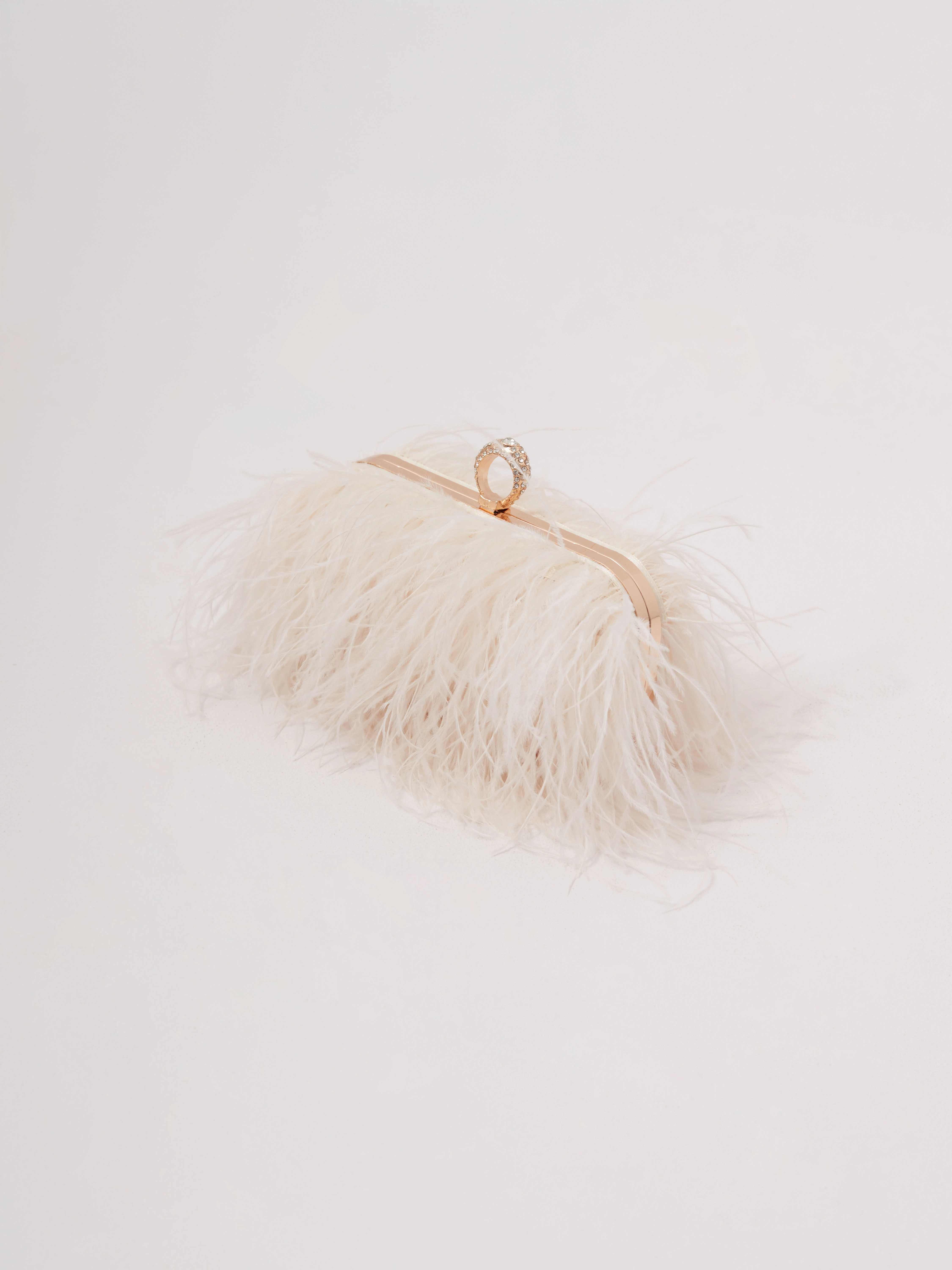 A small cream-colored handbag embroidered with feathers