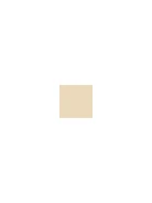 BEIGE COAT WITH BELT