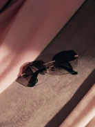 BROWN SUNGLASSES