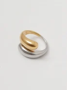 Ring in gold and silver colors