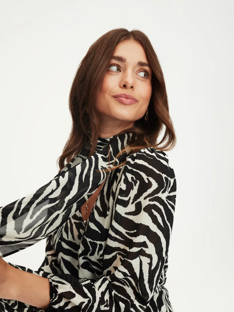 Animal print midi dress