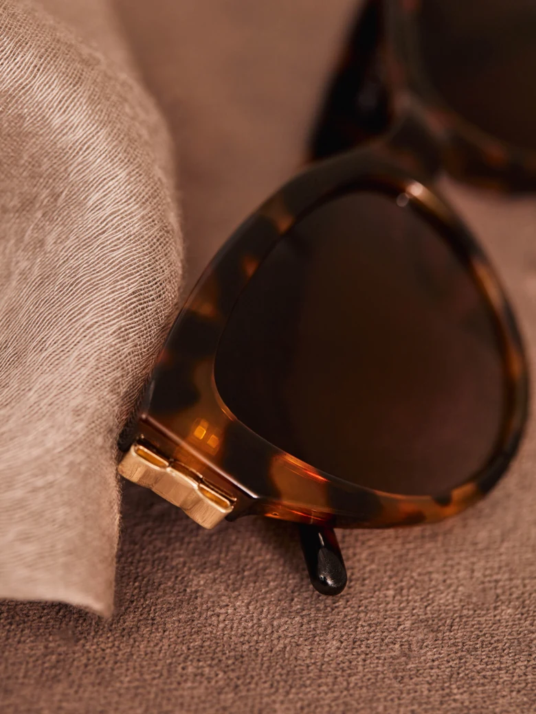 BROWN SUNGLASSES