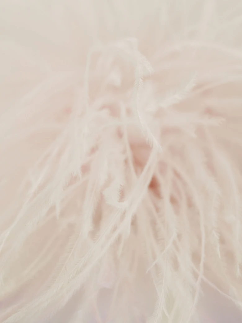 Cream brooch with feathers