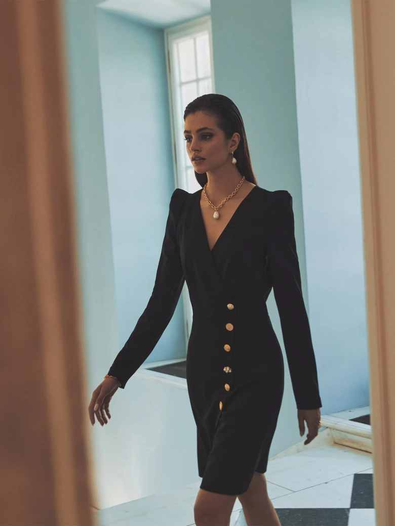Elegant little black dress