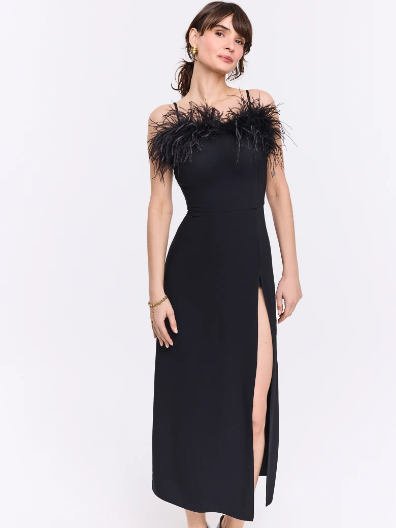 Long black dress with decorative feather neckline